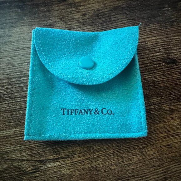 Tiffany & Co. Jewelry - Tiffany & Co. Teal Suede Jewelry Pouch with Snap Closure